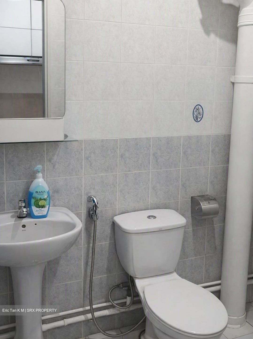 Jurong West Central 1 (Jurong West),  #619776261